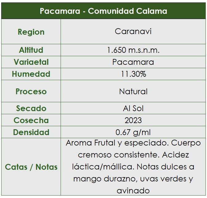 Café Pacamara